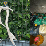 FOTO Percheziții în Cobadin și Ciocârlia: doi bărbați suspectați de braconaj / Sute de litri de motorină fără acte perchezitii