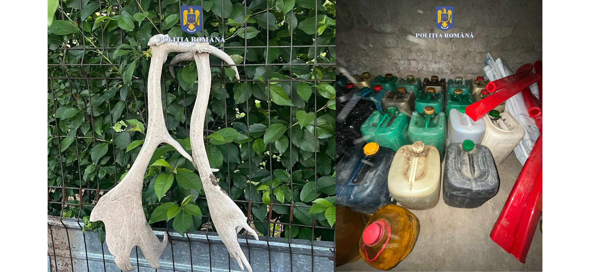 FOTO Percheziții în Cobadin și Ciocârlia: doi bărbați suspectați de braconaj / Sute de litri de motorină fără acte perchezitii