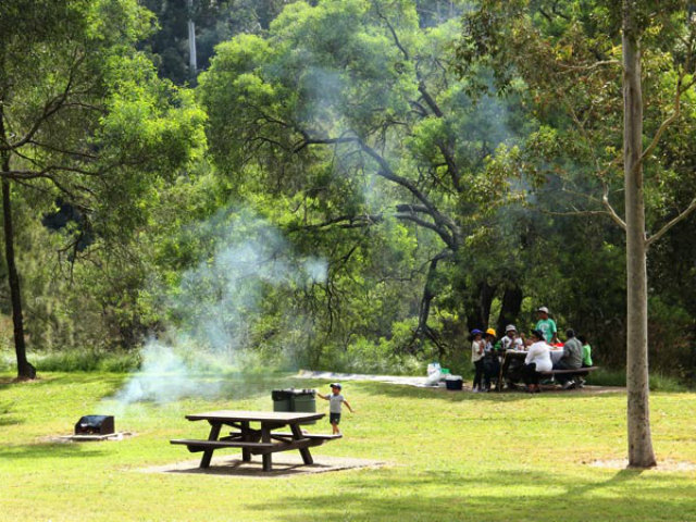1 Mai-Ziua muncii, semnificație și tradiții/ Ce reprezintă această dată picnic area