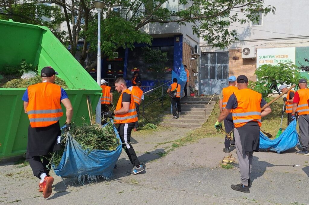 Continuă îngrijirea spațiilor verzi din Constanța 1 101