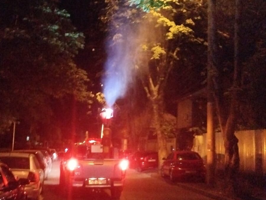 Acțiunile de dezinsecție continuă în municipiul Constanța și stațiunea Mamaia 1 14 1 edited