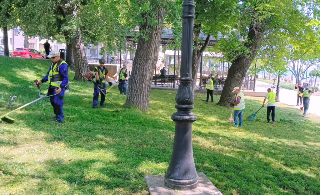 Continuă îngrijirea spațiilor verzi din Constanța 1 14