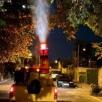 Acțiunile de dezinsecție vor fi reluate în municipiul Constanța și stațiunea Mamaia 1 2 3