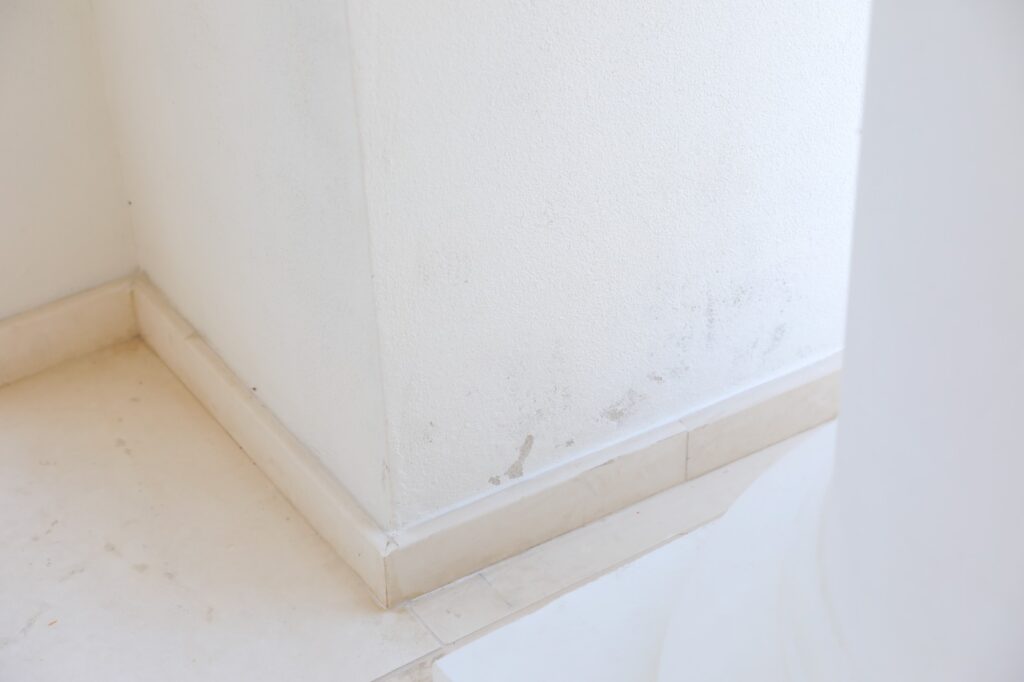 FOTO Cazinoul abia deschis a fost vandalizat de vizitatorii iresponsabili 6 FOTO Cazinoul abia deschis a fost vandalizat de vizitatorii iresponsabili 1 5 2