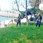 Continuă îngrijirea spațiilor verzi din Constanța 1 61