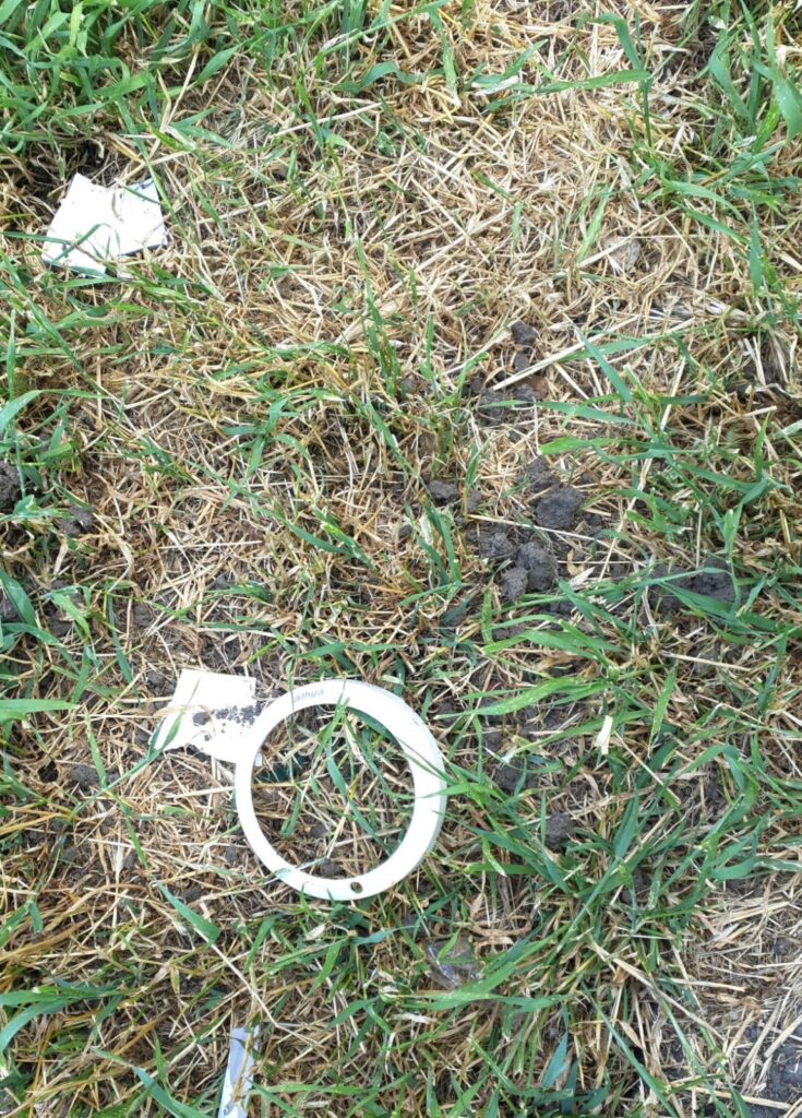 FOTO VIDEO Doi minori care au vandalizat trei camere de supraveghere au fost identificați de polițiștii locali 7 FOTO VIDEO Doi minori care au vandalizat trei camere de supraveghere au fost identificați de polițiștii locali 1 7
