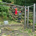 Tragedie în Brașov! Un copac s-a prabușit peste două persoane. Un tânăr a murit pe loc 62556179