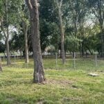 OFICIAL DE LA IPJ: Un tânăr în vârstă de 16 ani s-a spânzurat în Parcul Tăbăcărie din Constanța UPDATE 70d3e207 f688 4974 a09b c4d351837781