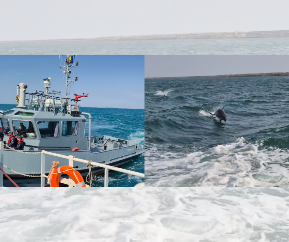 FOTO VIDEO Forțele Navale Române, simulare a unor situații de criză/ Delfinii au făcut spectacol pe mare Design fara titlu 47