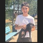 Primăria Constanța anunță o nouă adopție reușită din adăpostul public Fara titlu