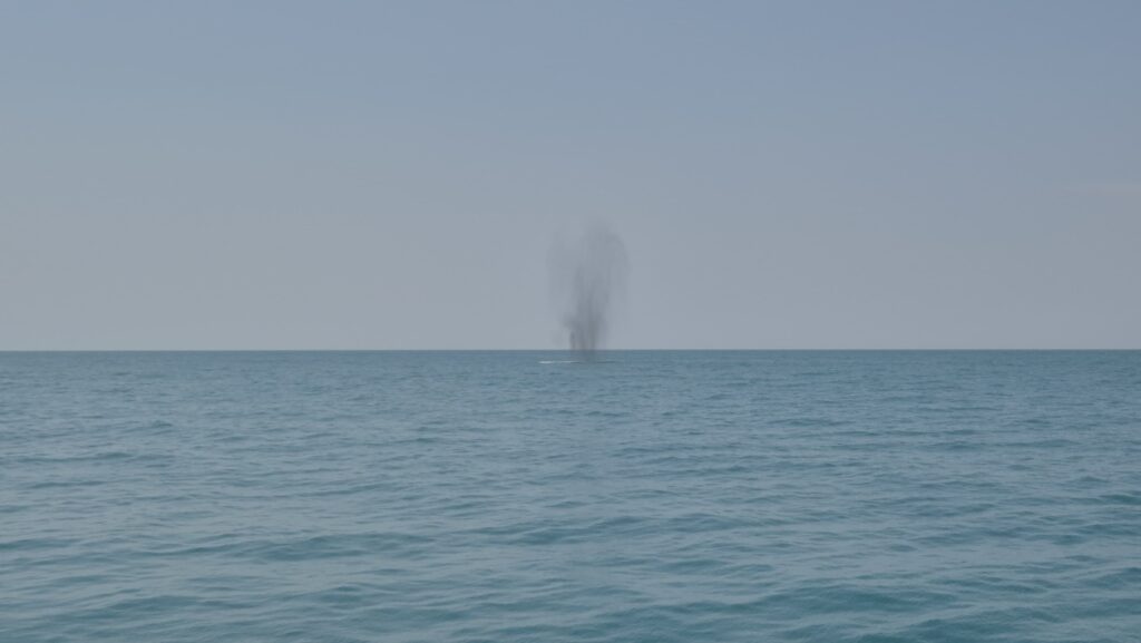 FOTO VIDEO Forțele Navale Române, spectacol în Marea Neagră: exercițiu anti-terorist impresionant UPDATE 34 FOTO VIDEO Forțele Navale Române, spectacol în Marea Neagră: exercițiu anti-terorist impresionant UPDATE Imagine WhatsApp 2025 06 18 la 16.34.22 e76cc30e 1