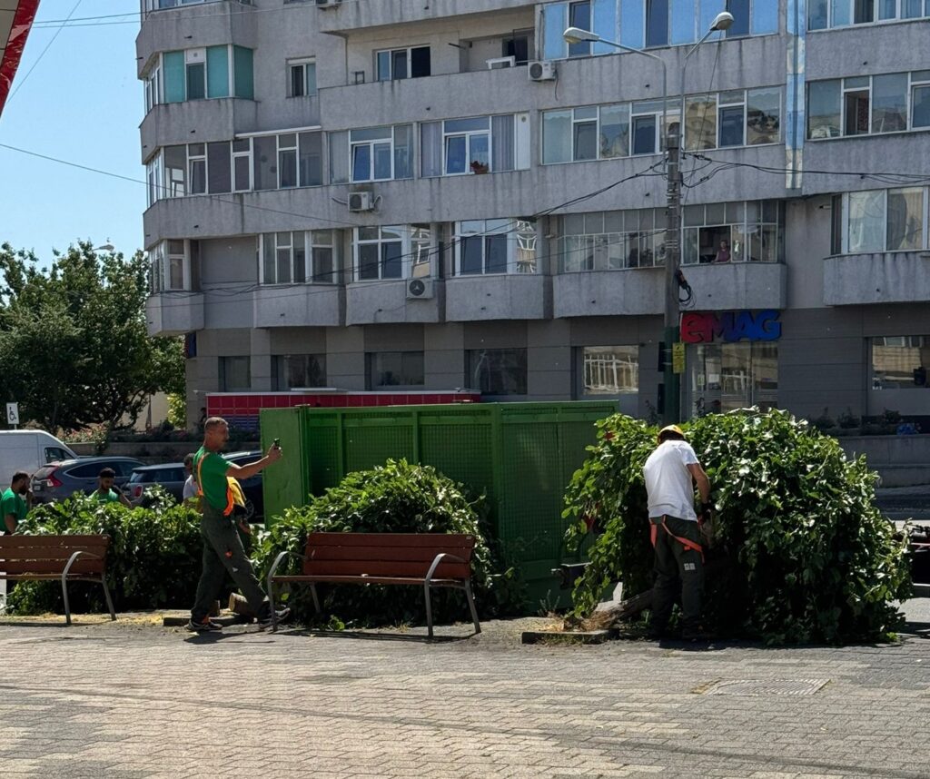 FOTO VIDEO Dezastru ecologic la Constanța! Mai mulți copaci au fost tăiați, în zona magazinului eMAG, pentru că… fac mizerie UPDATE 2 FOTO VIDEO Dezastru ecologic la Constanța! Mai mulți copaci au fost tăiați, în zona magazinului eMAG, pentru că… fac mizerie UPDATE Imagine WhatsApp 2025 06 25 la 11.51.37 637647fe