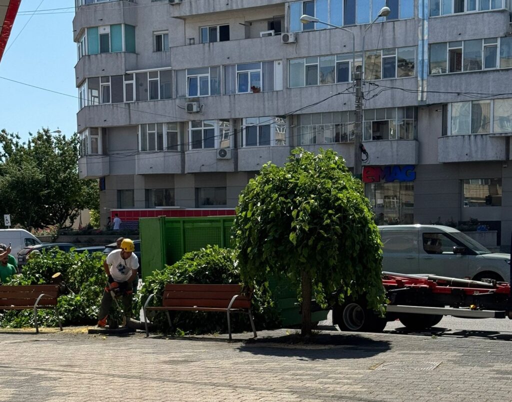 FOTO VIDEO Dezastru ecologic la Constanța! Mai mulți copaci au fost tăiați, în zona magazinului eMAG, pentru că… fac mizerie UPDATE 7 FOTO VIDEO Dezastru ecologic la Constanța! Mai mulți copaci au fost tăiați, în zona magazinului eMAG, pentru că… fac mizerie UPDATE Imagine WhatsApp 2025 06 25 la 11.51.38 7c7727ed
