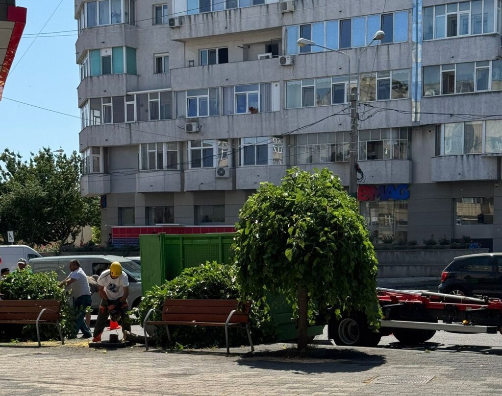 FOTO VIDEO Dezastru ecologic la Constanța! Mai mulți copaci au fost tăiați, în zona magazinului eMAG, pentru că… fac mizerie UPDATE 6 FOTO VIDEO Dezastru ecologic la Constanța! Mai mulți copaci au fost tăiați, în zona magazinului eMAG, pentru că… fac mizerie UPDATE Imagine WhatsApp 2025 06 25 la 11.51.41 107ac048