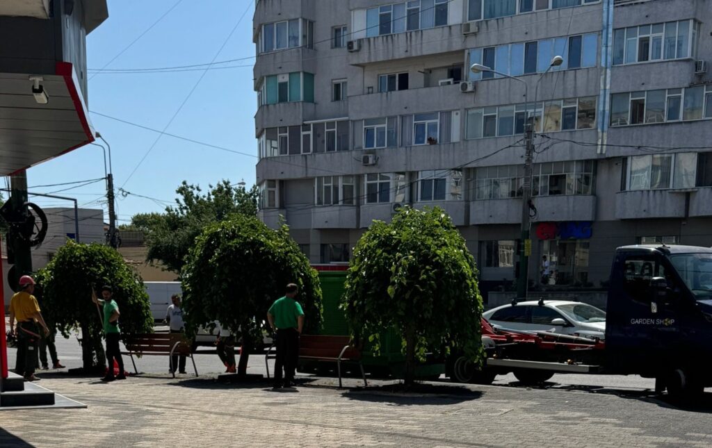 FOTO VIDEO Dezastru ecologic la Constanța! Mai mulți copaci au fost tăiați, în zona magazinului eMAG, pentru că… fac mizerie UPDATE 5 FOTO VIDEO Dezastru ecologic la Constanța! Mai mulți copaci au fost tăiați, în zona magazinului eMAG, pentru că… fac mizerie UPDATE Imagine WhatsApp 2025 06 25 la 11.51.42 efa0fbc2