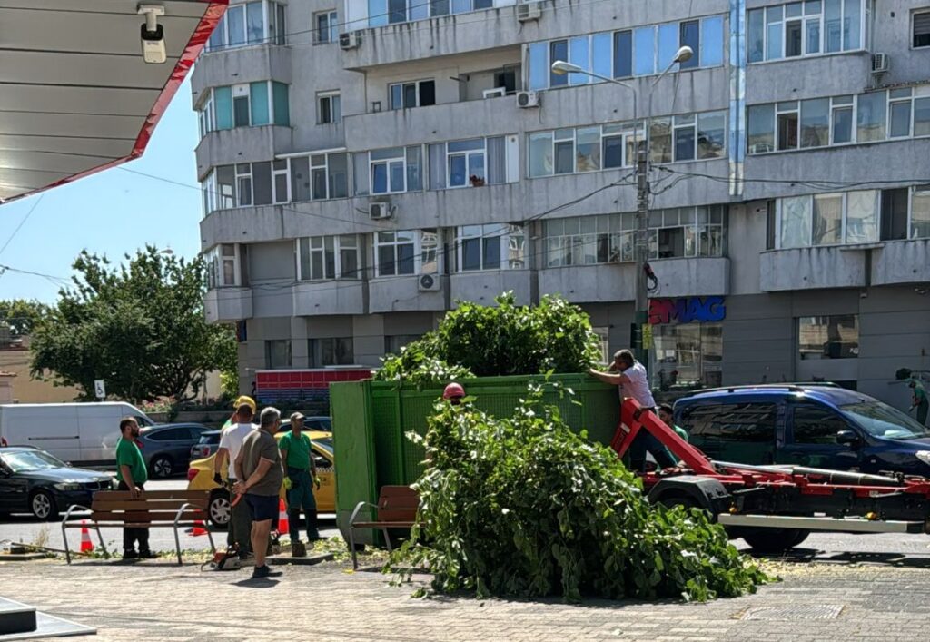 FOTO VIDEO Dezastru ecologic la Constanța! Mai mulți copaci au fost tăiați, în zona magazinului eMAG, pentru că… fac mizerie UPDATE 4 FOTO VIDEO Dezastru ecologic la Constanța! Mai mulți copaci au fost tăiați, în zona magazinului eMAG, pentru că… fac mizerie UPDATE Imagine WhatsApp 2025 06 25 la 11.51.43 72fcdf23 1