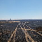 FOTO Zi de foc pentru pompierii constănțeni: mai multe incendii de vegetație uscată au izbucnit în județ UPDATE Imagine WhatsApp 2025 06 26 la 13.22.01 3cf45e2d
