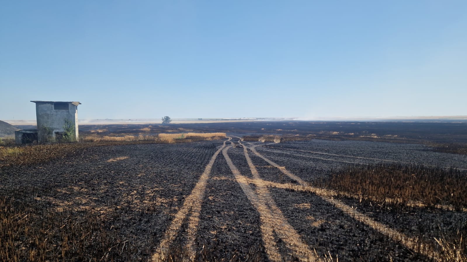 FOTO Zi de foc pentru pompierii constănțeni: mai multe incendii de vegetație uscată au izbucnit în județ UPDATE Imagine WhatsApp 2025 06 26 la 13.22.01 3cf45e2d