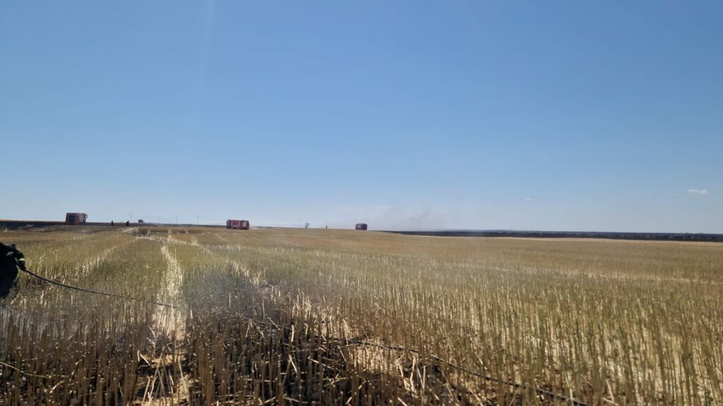 FOTO Zi de foc pentru pompierii constănțeni: mai multe incendii de vegetație uscată au izbucnit în județ UPDATE 3 FOTO Zi de foc pentru pompierii constănțeni: mai multe incendii de vegetație uscată au izbucnit în județ UPDATE Imagine WhatsApp 2025 06 26 la 13.22.02 af76262c