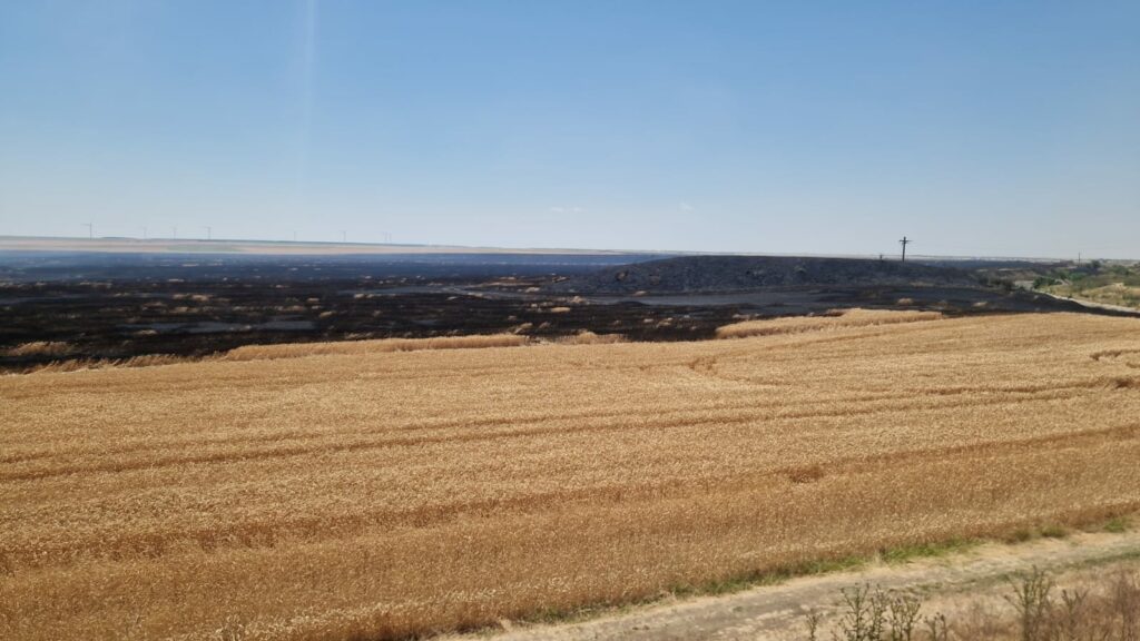 FOTO Zi de foc pentru pompierii constănțeni: mai multe incendii de vegetație uscată au izbucnit în județ UPDATE 2 FOTO Zi de foc pentru pompierii constănțeni: mai multe incendii de vegetație uscată au izbucnit în județ UPDATE Imagine WhatsApp 2025 06 26 la 13.22.02 b634868f