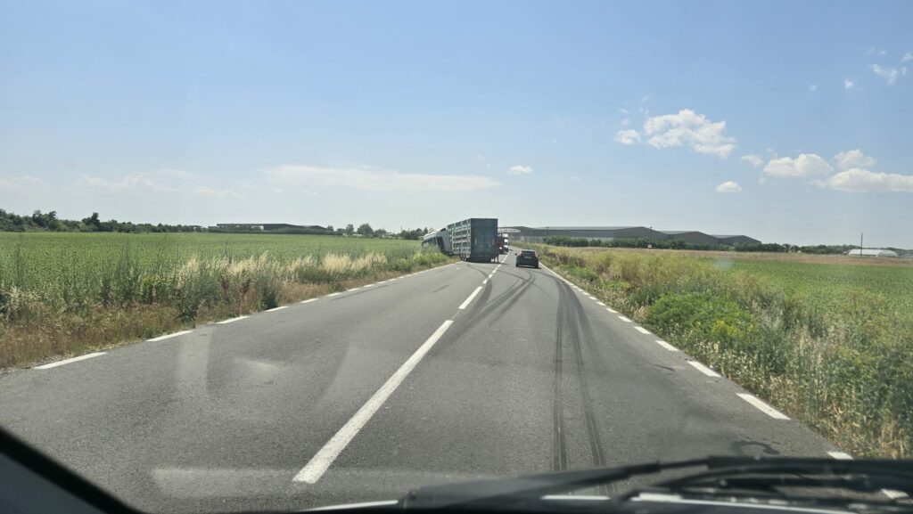 FOTO Un camion care transportă animale a ieșit de pe șosea, în zona satului Culmea din Constanța 6 FOTO Un camion care transportă animale a ieșit de pe șosea, în zona satului Culmea din Constanța Imagine WhatsApp 2025 06 26 la 14.13.58 88eacd7c