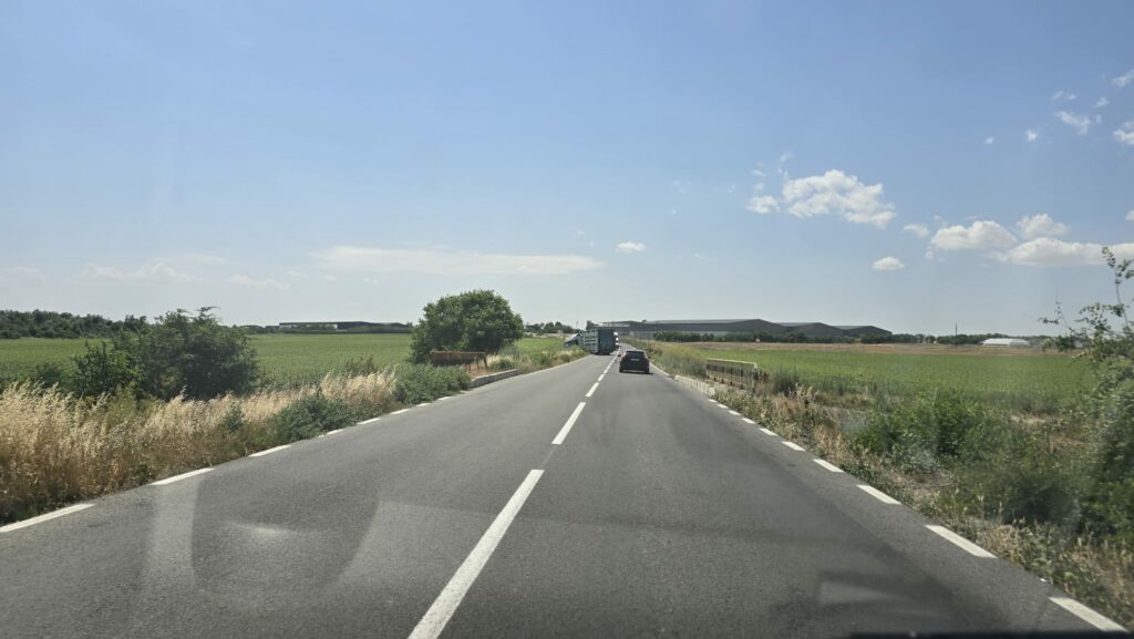 FOTO Un camion care transportă animale a ieșit de pe șosea, în zona satului Culmea din Constanța 4 FOTO Un camion care transportă animale a ieșit de pe șosea, în zona satului Culmea din Constanța Imagine WhatsApp 2025 06 26 la 14.13.59 27e4b842