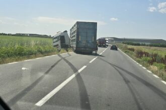 FOTO Un camion care transportă animale a ieșit de pe șosea, în zona satului Culmea din Constanța Imagine WhatsApp 2025 06 26 la 14.21.03 89d713a9