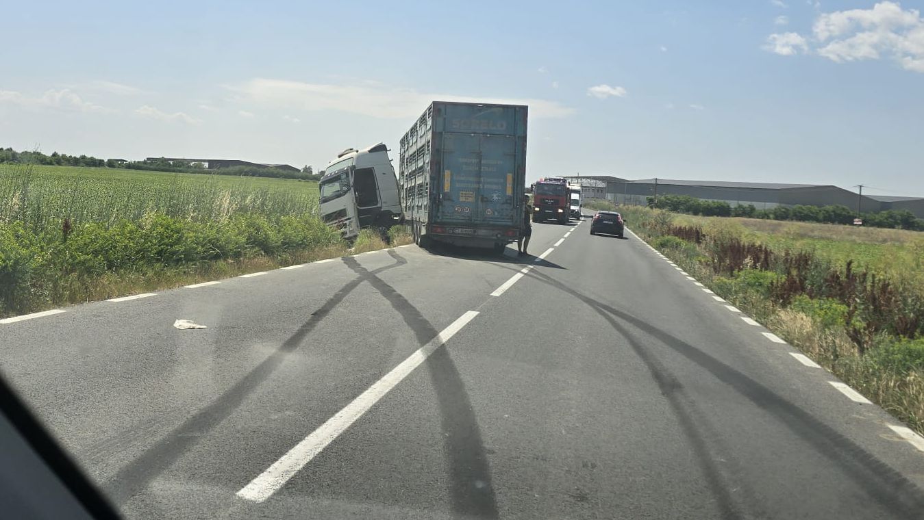 FOTO Un camion care transportă animale a ieșit de pe șosea, în zona satului Culmea din Constanța Imagine WhatsApp 2025 06 26 la 14.21.03 89d713a9