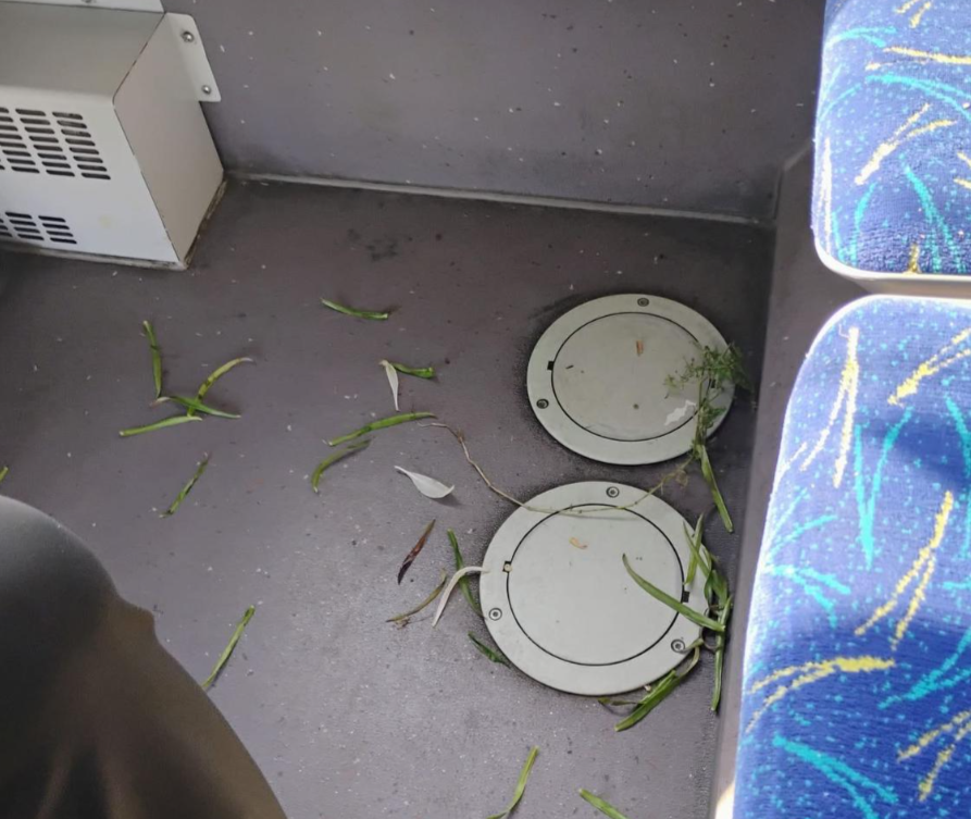 FOTO În CT Bus te simți ca în natură: poți urina pe scaune și ai și iarbă verde 2 FOTO În CT Bus te simți ca în natură: poți urina pe scaune și ai și iarbă verde Screenshot 2025 06 08 045628