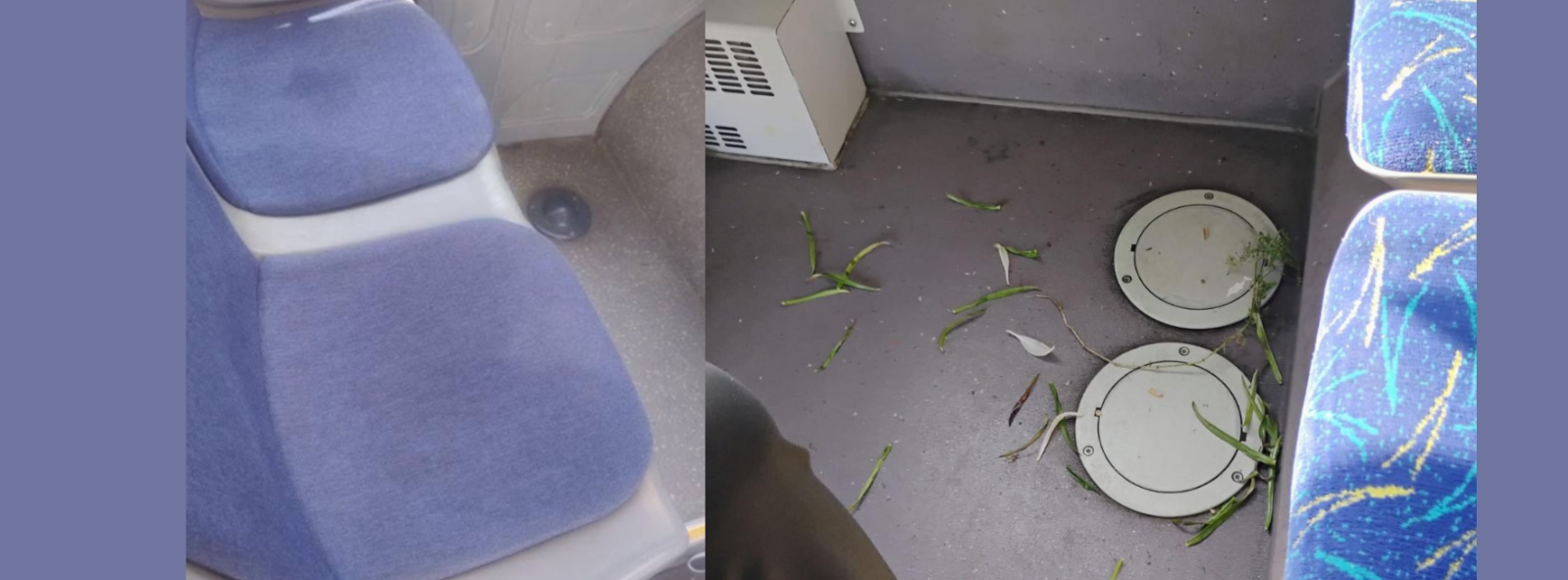 FOTO În CT Bus te simți ca în natură: poți urina pe scaune și ai și iarbă verde Screenshot 2025 06 08 050724