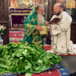 ÎPS Teodosie, slujbe cu prilejul Rusaliilor, la Constanța: va binecuvânta frunzele de nuc, care simbolizează „limbile de foc” Screenshot 2025 06 08 055835