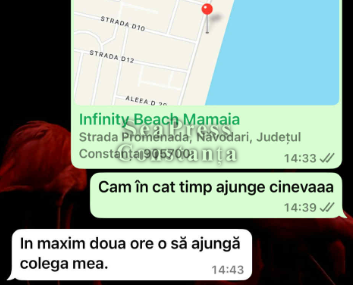 FOTO Pui de delfin găsit mort pe plaja Infinity. Autoritățile nu au intervenit nici după două ore 9 FOTO Pui de delfin găsit mort pe plaja Infinity. Autoritățile nu au intervenit nici după două ore Screenshot 2025 06 08 161551