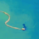 VIDEO Un șarpe a fost surpins în mare, pe o plajă din Saturn Screenshot 2