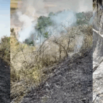 VIDEO Incendiu de vegetație în Poarta Albă/ Pompierii intervin cu 8 mașini de stingere Untitled design22