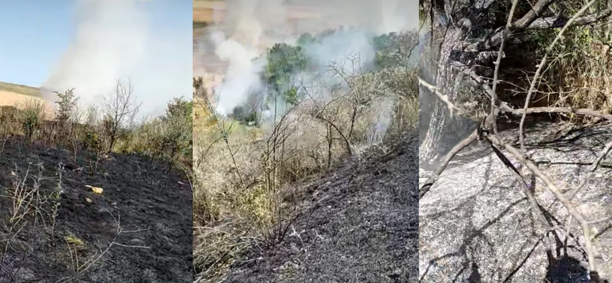 FOTO VIDEO Incendiu de vegetație în Poarta Albă/ Pompierii intervin cu 8 mașini de stingere UPDATE Untitled design22