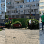 FOTO VIDEO Dezastru ecologic la Constanța! Mai mulți copaci au fost tăiați, în zona magazinului eMAG, pentru că… fac mizerie Untitled design23