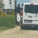 Sancțiune de ZECI DE MII de lei pentru individul care a abandonat un cățel în Mamaia WhatsApp Image 2025 05 31 at 17.02.52 1536x840 1