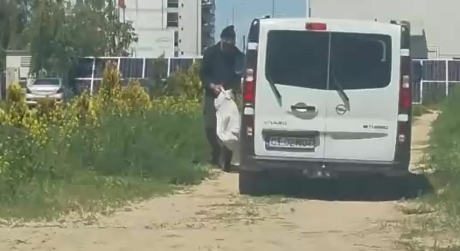 Sancțiune de ZECI DE MII de lei pentru individul care a abandonat un cățel în Mamaia WhatsApp Image 2025 05 31 at 17.02.52 1536x840 1