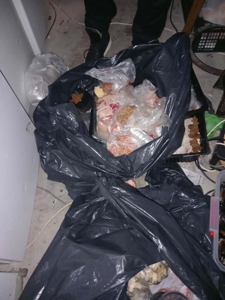 FOTO VIDEO Frigidere cu mucegai și mizerie în subsol: OPC a închis Tomis Pub din Piața Ovidiu 8 FOTO VIDEO Frigidere cu mucegai și mizerie în subsol: OPC a închis Tomis Pub din Piața Ovidiu WhatsApp Image 2025 06 03 at 19.07.51 6
