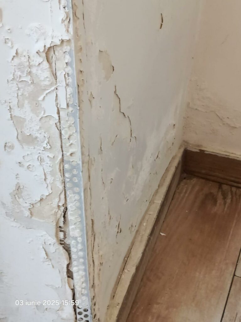 FOTO Restaurant din Năvodari, propus pentru închidere definitivă de OPC: produse expirate, murdărie masivă și alte nereguli 14 FOTO Restaurant din Năvodari, propus pentru închidere definitivă de OPC: produse expirate, murdărie masivă și alte nereguli WhatsApp Image 2025 06 03 at 19.25.40 2