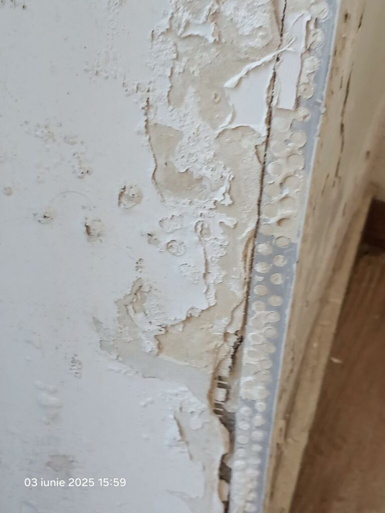 FOTO Restaurant din Năvodari, propus pentru închidere definitivă de OPC: produse expirate, murdărie masivă și alte nereguli 13 FOTO Restaurant din Năvodari, propus pentru închidere definitivă de OPC: produse expirate, murdărie masivă și alte nereguli WhatsApp Image 2025 06 03 at 19.25.40 3