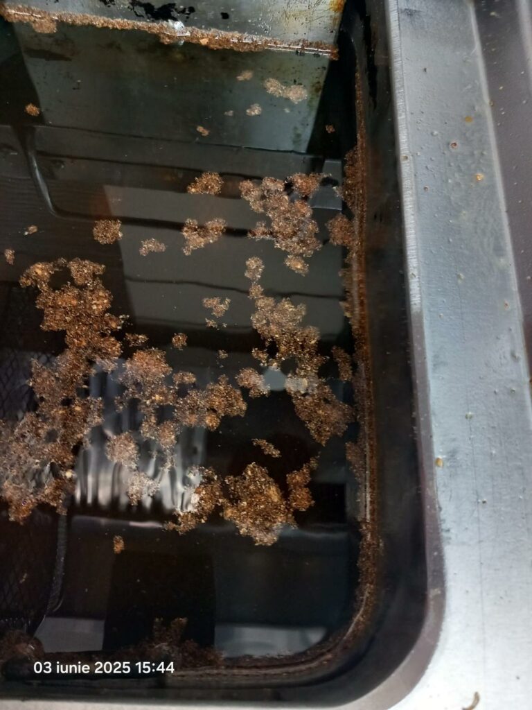 FOTO Restaurant din Năvodari, propus pentru închidere definitivă de OPC: produse expirate, murdărie masivă și alte nereguli 7 FOTO Restaurant din Năvodari, propus pentru închidere definitivă de OPC: produse expirate, murdărie masivă și alte nereguli WhatsApp Image 2025 06 03 at 19.25.41 3