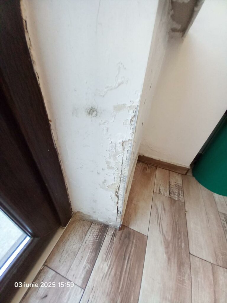 FOTO Restaurant din Năvodari, propus pentru închidere definitivă de OPC: produse expirate, murdărie masivă și alte nereguli 9 FOTO Restaurant din Năvodari, propus pentru închidere definitivă de OPC: produse expirate, murdărie masivă și alte nereguli WhatsApp Image 2025 06 03 at 19.25.41