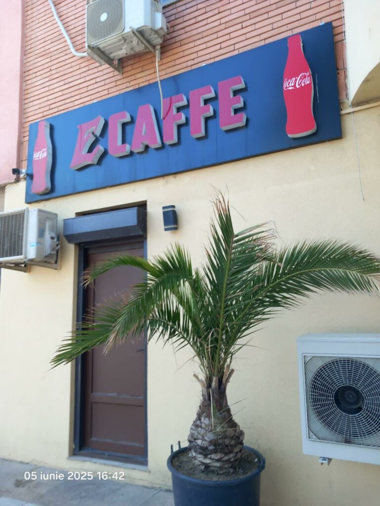 VIDEO FOTO Gândaci vii și morți, mâncare stricată și ustensile murdare: restaurant din Năvodari, sancționat DUR de OPC 3 VIDEO FOTO Gândaci vii și morți, mâncare stricată și ustensile murdare: restaurant din Năvodari, sancționat DUR de OPC WhatsApp Image 2025 06 05 at 17.28.35