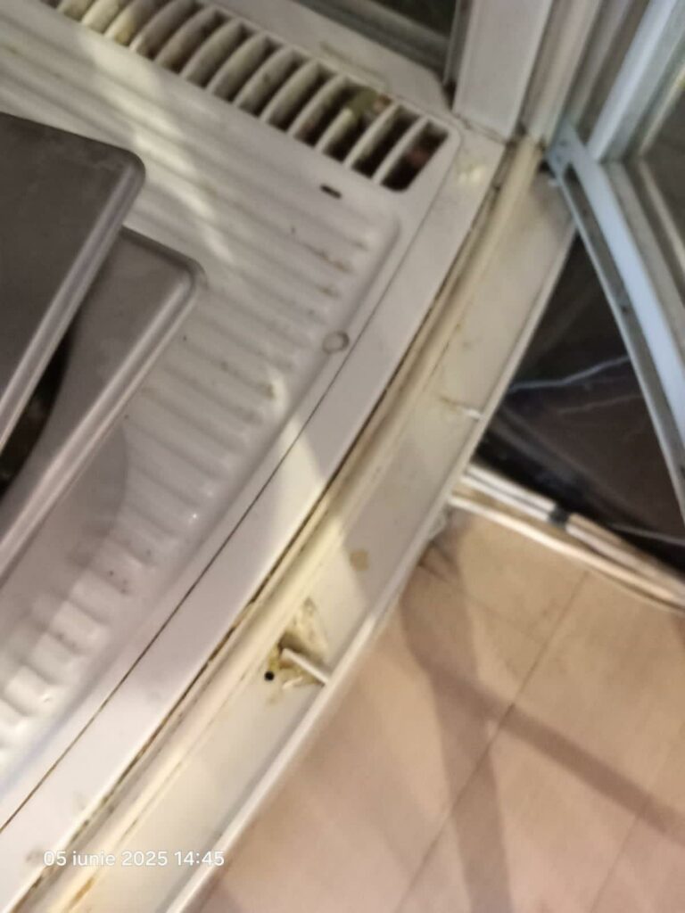 VIDEO FOTO Gândaci vii și morți, mâncare stricată și ustensile murdare: restaurant din Năvodari, sancționat DUR de OPC 5 VIDEO FOTO Gândaci vii și morți, mâncare stricată și ustensile murdare: restaurant din Năvodari, sancționat DUR de OPC WhatsApp Image 2025 06 05 at 17.28.36 1