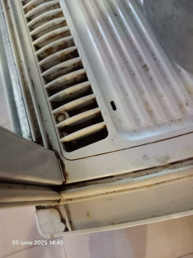 VIDEO FOTO Gândaci vii și morți, mâncare stricată și ustensile murdare: restaurant din Năvodari, sancționat DUR de OPC 8 VIDEO FOTO Gândaci vii și morți, mâncare stricată și ustensile murdare: restaurant din Năvodari, sancționat DUR de OPC WhatsApp Image 2025 06 05 at 17.28.36 3