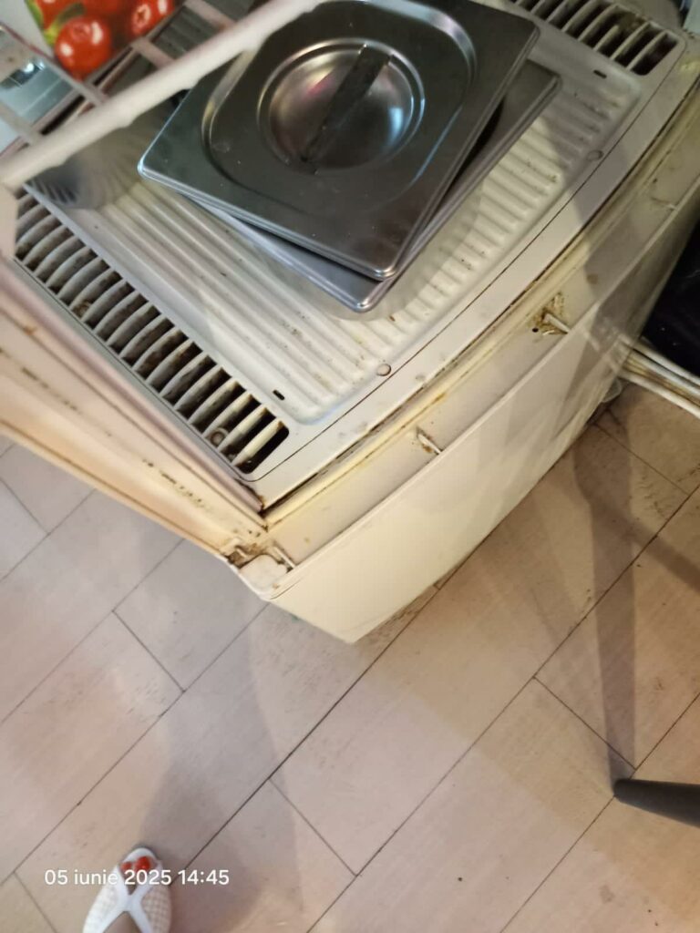 VIDEO FOTO Gândaci vii și morți, mâncare stricată și ustensile murdare: restaurant din Năvodari, sancționat DUR de OPC 9 VIDEO FOTO Gândaci vii și morți, mâncare stricată și ustensile murdare: restaurant din Năvodari, sancționat DUR de OPC WhatsApp Image 2025 06 05 at 17.28.36 4