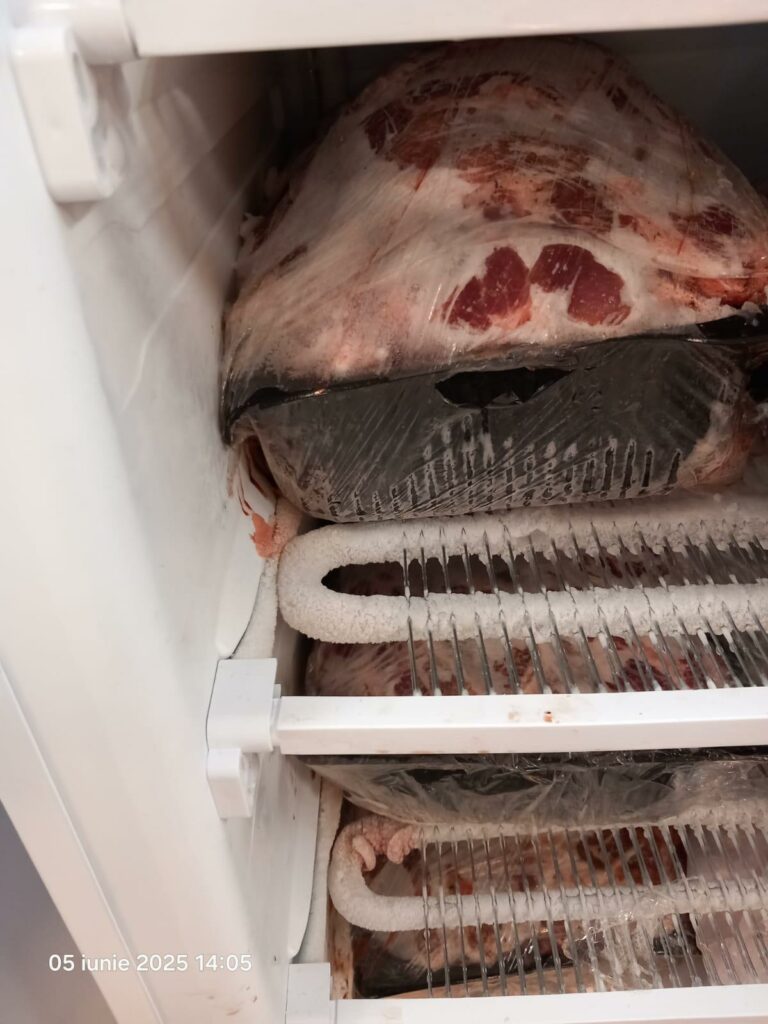 VIDEO FOTO Gândaci vii și morți, mâncare stricată și ustensile murdare: restaurant din Năvodari, sancționat DUR de OPC 13 VIDEO FOTO Gândaci vii și morți, mâncare stricată și ustensile murdare: restaurant din Năvodari, sancționat DUR de OPC WhatsApp Image 2025 06 05 at 17.28.37 3