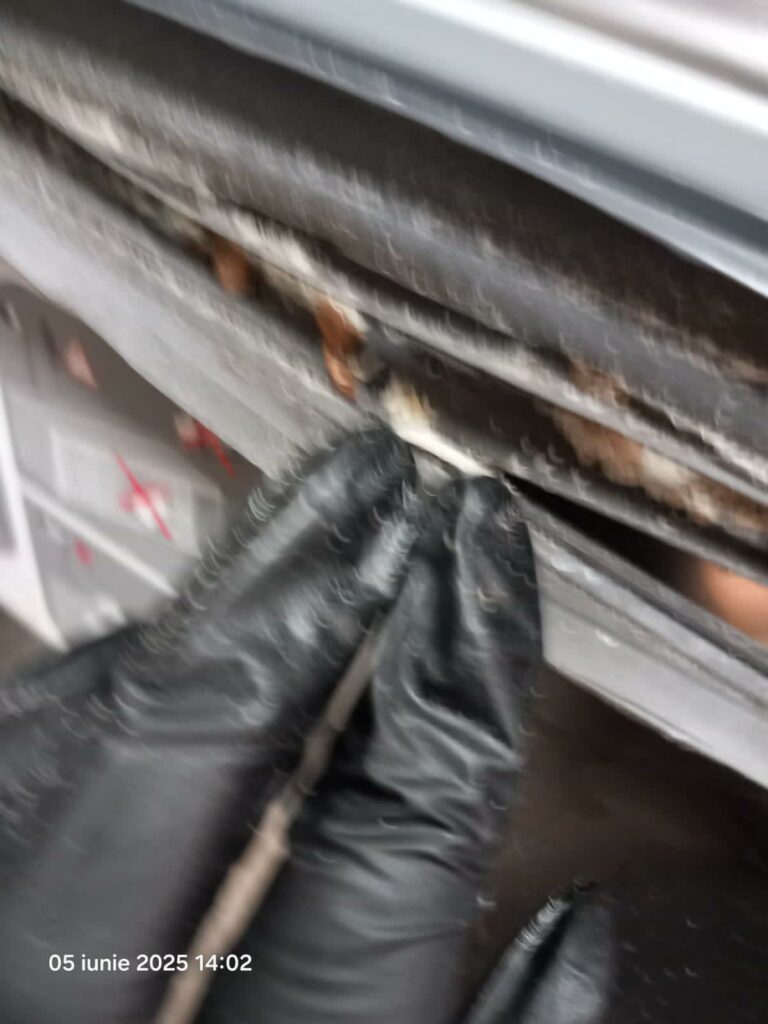 VIDEO FOTO Gândaci vii și morți, mâncare stricată și ustensile murdare: restaurant din Năvodari, sancționat DUR de OPC 15 VIDEO FOTO Gândaci vii și morți, mâncare stricată și ustensile murdare: restaurant din Năvodari, sancționat DUR de OPC WhatsApp Image 2025 06 05 at 17.28.38