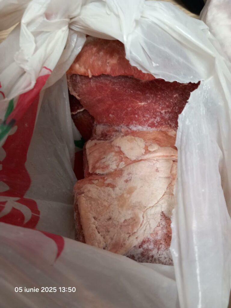 VIDEO FOTO Gândaci vii și morți, mâncare stricată și ustensile murdare: restaurant din Năvodari, sancționat DUR de OPC 22 VIDEO FOTO Gândaci vii și morți, mâncare stricată și ustensile murdare: restaurant din Năvodari, sancționat DUR de OPC WhatsApp Image 2025 06 05 at 17.28.39 1